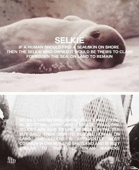 Selkie Mythology, Goddess Names, Legends And Myths, First Humans, Mythological Creatures, Mystical Creatures, Story Inspiration, Magical Creatures, Book Inspiration