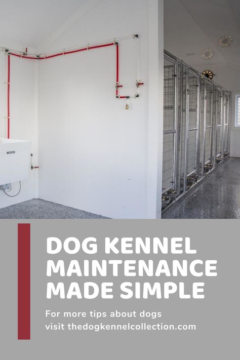 Kennel Cleaning Checklist, Interior Dog Kennel Ideas, Dog Breeding Kennels Ideas Indoor, Cage Free Dog Boarding, Home Kennel Ideas, Dog Kennel Floor Plans, How To Start A Dog Kennel Business, Dog Training Facility Layout, Boarding Kennel Ideas