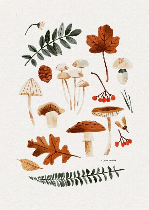 Botanical Watercolor Painting, Decoration Creche, Illustration Blume, Autumn Illustration, Illustration Botanique, Botanical Watercolor, Art Et Illustration, Plant Illustration, Watercolor Inspiration