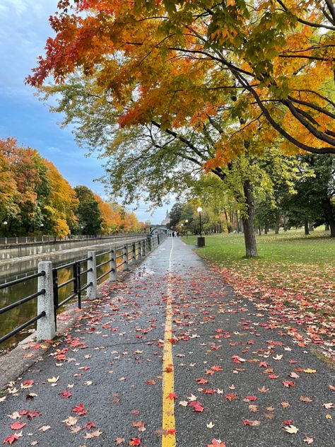 Cute fall walking path. changing leaves and pretty views Fall Walk Aesthetic, Cozy Drawing, Walking Images, Seasonal Aesthetic, Walking Aesthetic, Fall Walk, Walking Path, Fall Wallpapers, Pretty Views