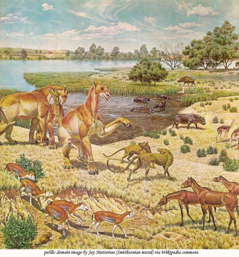 Pliocene Epoch (5.332–2.588 Ma) Geologic Time Scale, Homo Habilis, Prehistoric Wildlife, Prehistoric World, Terra Nova, Ancient Animals, Paleo Art, Extinct Animals, Dinosaur Art