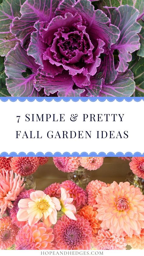 Ready for fall gardening? These are some of the most classic, simple, and pretty fall garden ideas that will transform your yard this autumn. From ornamental kale to fall flowers that bloom in the prettiest shades of orange, yellow, and red, these autumn garden ideas are a must-try! Fall Flowers Front Yard, Fall Plants For Outside, Fall Flowerbeds Front Yards, Autumn Garden Ideas, Fall Flower Bed Ideas, Fall Flower Bed, Fall Garden Ideas, Outside Fall Decorations, Flowering Kale