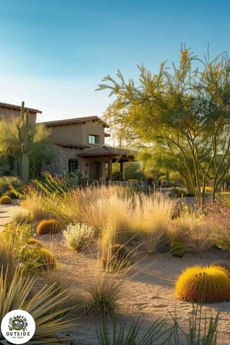 25 Desert Landscaping Ideas for Your Front Yard Desert Landscaping Ideas, Dry Gardens, High Desert Landscaping, Desert Trees, Wood Mulch, Native Plant Gardening, Dry Garden, Stone Pathway, Front Yards