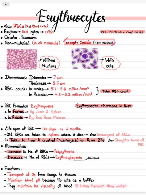 Biomedical Science Aesthetic, Aesthetic Biology Notes, Notesbog Design, Biochemistry Notes, Learn Biology, Nurse Study, Ipad Notes, Nursing School Motivation, Nurse Study Notes