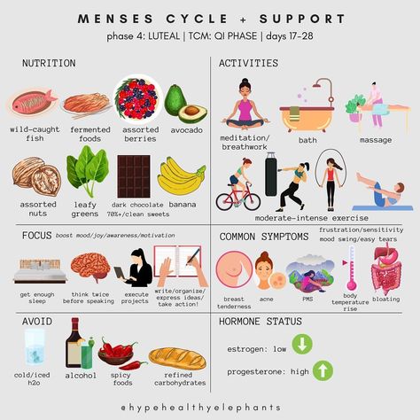 Melissa Hsu | The Healthy Elephants® | . The hot 🔥 & sexy topic: Menses Cycle Support 🩸 This ideology largely incorporates TCM methodology. Day 1 is heavy 🩸 🌕Phase… | Instagram Hormone Nutrition, Luteal Phase, Clean Sweets, Nutrition Activities, Menstrual Health, Women Health Care, Feminine Health, Healthy Food Motivation, Wellness Fitness