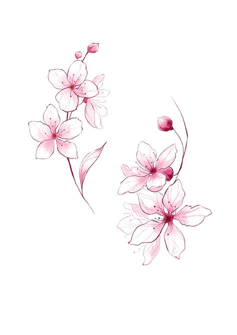 Cherry Blossom Design Drawing, Korean Flower Tattoo Rose Of Sharon, Woman In Flowers Tattoo, Pink Flower Tattoo Designs, Japanese Flowers Design, Floral Frame Tattoo Design, Pretty Flowers Tattoo, Cherry Flower Tattoo Design, Sakura Tattoo Design Cherry Blossoms