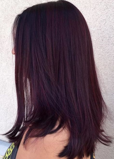 Dark Burgundy And Violet Hair Dark Violet Hair, Free Hairstyles, Pelo Color Vino, Dark Burgundy Hair, Shades Of Burgundy Hair, Red Violet Hair, Burgundy Hair Color, Maroon Hair, Rambut Brunette