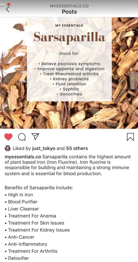 Benefits Of Sarsaparilla, Sarsaparilla Benefits, Homeopathy Remedies, Medical Herbs, Sick Remedies, Dr Sebi, Natural Healing Remedies, Herbal Healing, Herbs For Health