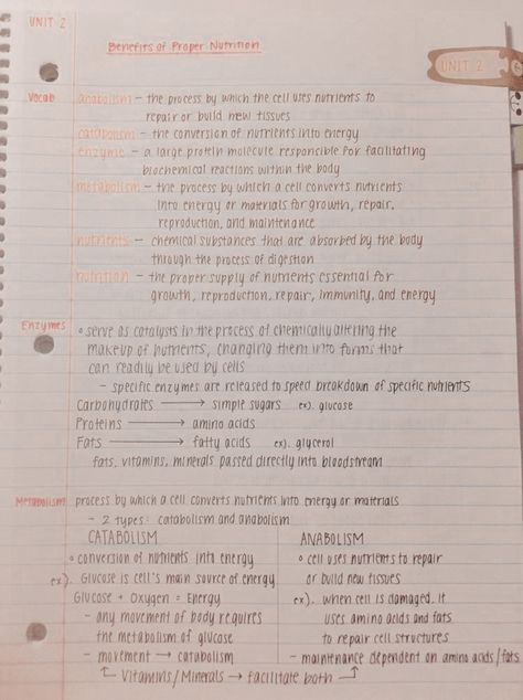 Health Notes Aesthetic, Anatomy Notes Aesthetic, Hold Yourself Accountable, Notes Inspo, Handwriting Examples, Neat Handwriting, Medical Student Study, College Notes, Semester 2