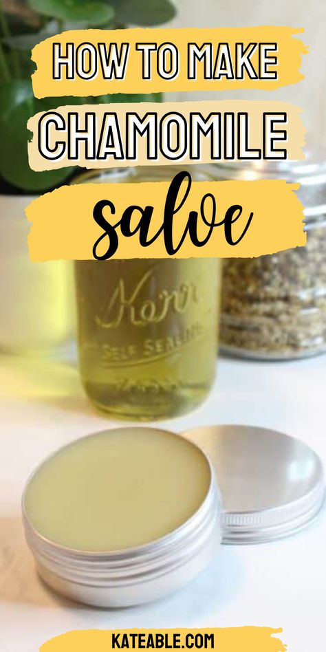 Learn how to easily make your own DIY chamomile salve with this recipe. It is all natural and the perfect way to heal your skin or put you to sleep. How To Make Salve, Chamomile Salve, Chamomile Recipes, Green Witchery, Healing Salve Recipe, Homemade Salve, Homemade Skincare, Herbal Remedies Recipes, Diy Coconut Oil