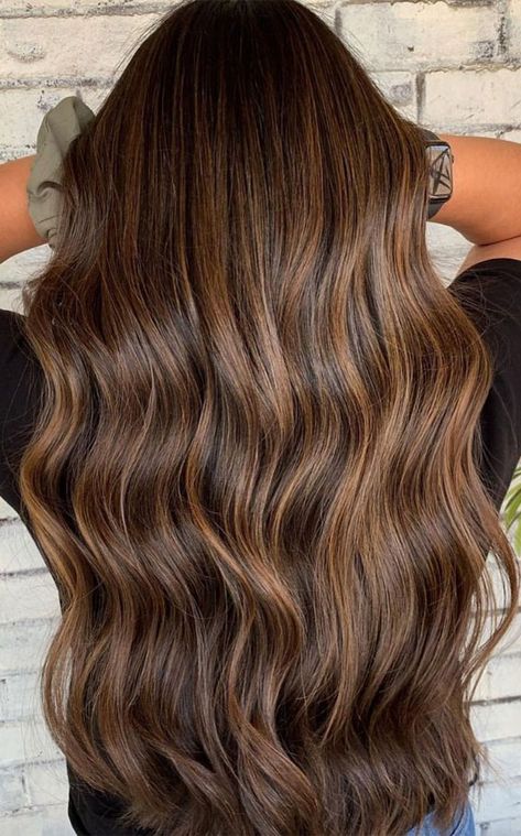 50 Exciting Hair Colour Ideas & Hairstyles for Brunettes : Brown Sugar Cookie Light Medium Brown Hair, Brown Sugar Hair, Light Brown Hair Styles, Hair Colour Ideas For Brunettes, Light Brown Hair Shades, Brown Hair Styles, Brunette Tones, Light Brunette Hair, Brown Hair Inspiration