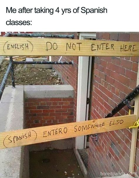 30 Funniest Memes About Spanish Language For People That Tried Learning It Funny Memes Images, Crush Memes, Girl Memes, Friend Memes, Spanish Humor, Spanish Memes, Anime Memes Funny, Disney Memes, How To Speak Spanish