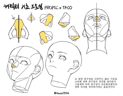 Even if the nostrils are simplified, it is easier to express the area under the nose or both nostrils by considering the central pillar at the base of the nose. Anime Tutorial, Drawing Heads, Nose Drawing, Manga Drawing Tutorials, Anatomy Sketches, Body Reference Drawing, Anatomy For Artists, 인물 드로잉, 캐릭터 드로잉