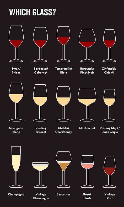 How To Sound Like A Wine Expert In 9 Basic Steps | Business Insider India Types Of Wine Glasses, Wine Basics, Wine Chart, Wine Knowledge, نباتات منزلية, Dining Etiquette, Wine Expert, Wine Education, Resep Diet