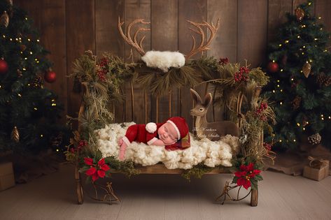 Get ready for Christmas with this cute Christmas Reindeer Bed Digital Backdrop. Features A Reindeer Bed with cream wool to edit your newborn onto and Christmas Trees.  In store now. Newborn Bed, Christmas Newborn, Newborn Digital Backdrop, The Light Is Coming, Newborn Christmas, Christmas Photoshoot, Layer Mask, Reindeer Christmas, Digital Backgrounds