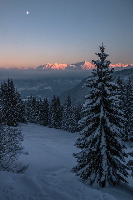 Snow Aesthetic Landscape, Snow Landscape Aesthetic, February Aesthetic Winter, Snowfall Aesthetic, Winter Snow Aesthetic, Snow Background, Winter View, Mountains And Trees, Snow Landscape