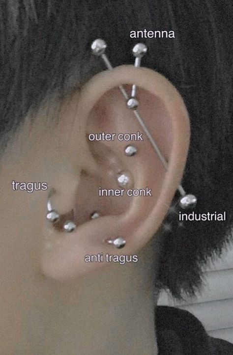 Peircings Name Chart, Piercings Chart, Piercing Accessories, Anti Tragus Piercing, Ear Piercings Chart, Piercing Chart, Thug Girl, Anti Tragus, Body Decoration