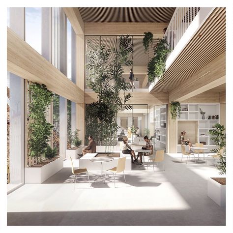 NORD Architects Copenhagen on Instagram: “The C02 neutral workplace No. 98 The use of cross laminated timber allows for a high degree of customization and flexibility in the office…” We Work Office, Illustration Perspective, Cross Laminated Timber, The Office Building, Positive Environment, Danish Architecture, Timber Architecture, Healthcare Architecture, Hospital Interior