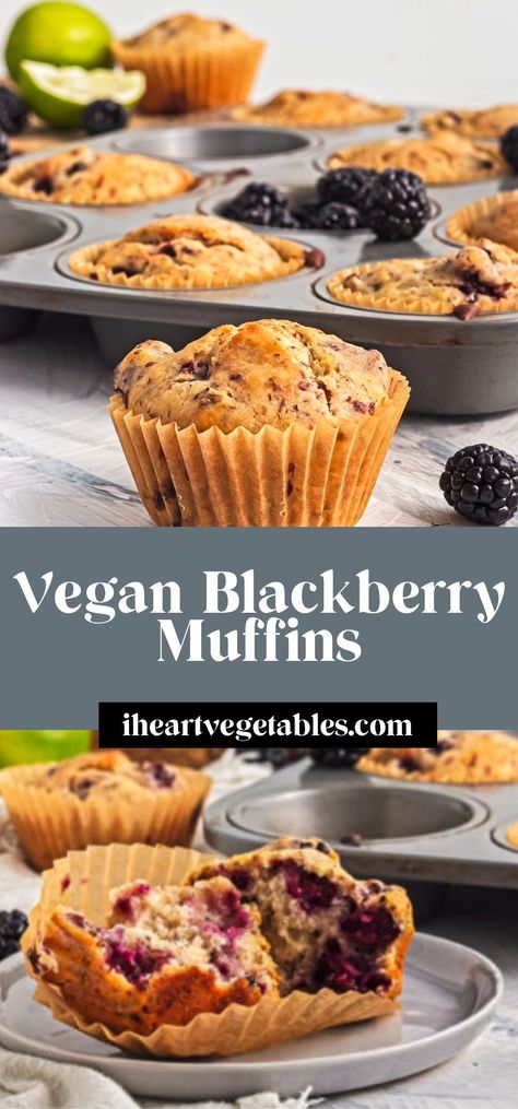 These vegan blackberry muffins are perfectly fluffy and made in one bowl for an easy breakfast or snack! Blackberry Muffins Easy, Oatmeal Streusel Topping, Muffins With Oatmeal, Vegan Carrot Cake Muffins, Blackberry Muffin Recipe, Blackberry Muffins, Blackberry Muffin, Berry Muffins, Vegan Muffins