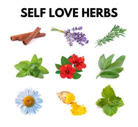 Herbs For Strength Spell, Self Love Herbs And Oils, Self Love Herbs Witchcraft, Herbs For Confidence, Herbs For Peace, Herbs For Self Love, Self Love Oil, Witchy Recipes, Glamour Magick