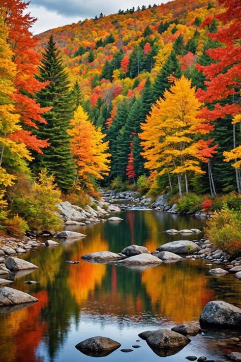 Fall in Love with Vermont: The Ultimate Guide to Autumn Foliage Autumn Scenery Landscape, Fall Color Wallpaper, Autumn Vermont, Wallpaper Fall Autumn, Autumn Landscape Photography, Beautiful Autumn Scenery, Vermont Autumn, Fall In Vermont, Autumn Countryside