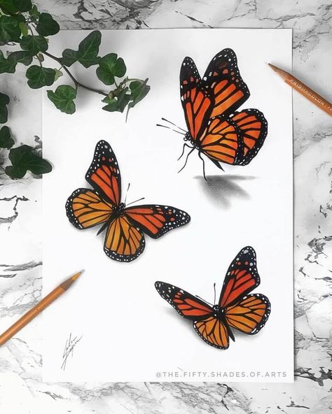 Orange Butterflies. Pencil and Ink Animal Drawings. Click the image, for more art from Solene Pasquier. Art Sketches Butterflies, Butterfly Pencil Color, Butterfly Drawing Pencil Coloring, Realistic Butterfly Painting, Pencil Art Drawings Butterfly, Creative Animal Drawings, Colored Pencil Butterfly, Butterfly Drawing With Color, Butterfly Drawing Colorful