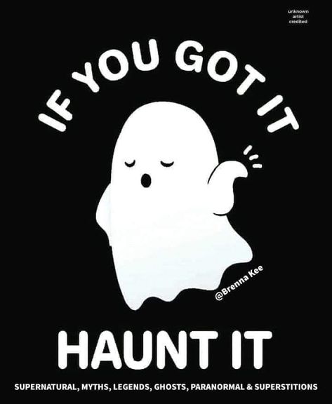 Ghost Funny Quotes, Funny Paranormal, Paranormal Investigator, Ghost Funny, Backgrounds Phone, Paranormal Investigation, Backgrounds Phone Wallpapers, Haunted Places, You Get It