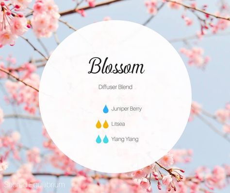 Spring Diffuser Blends, Eo Blends, Roller Bottle Blends, Cherry Blossom Scent, Doterra Diffuser Blends, Aromatherapy Recipes, Young Living Essential Oils Recipes, Essential Oils Herbs, Essential Oil Blends Recipes