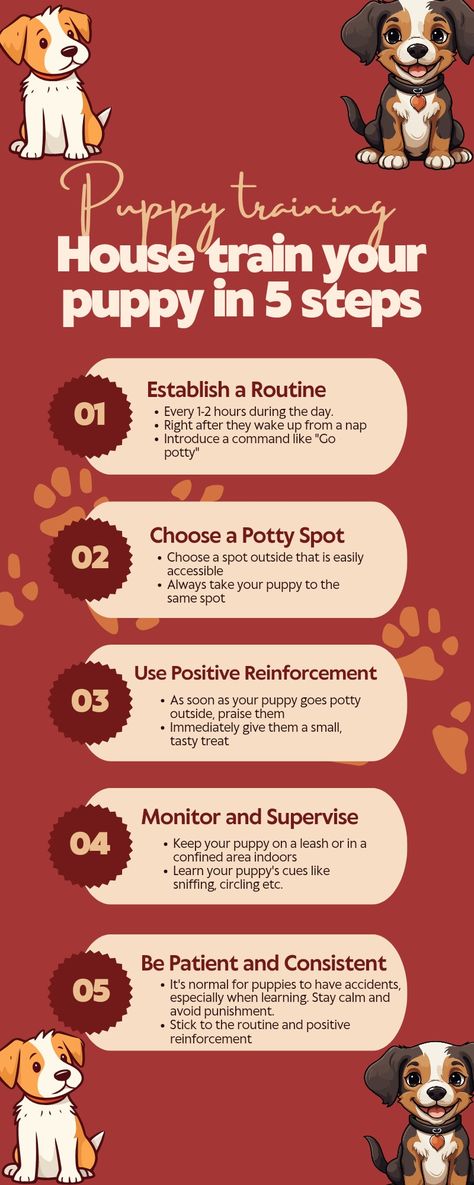 Stop Puppy Biting, Puppy Training Biting, Positive Dog Training, Puppy Biting, Puppy Training Tips, Happy Puppy, Pet Care Tips, Training Your Puppy, Puppy Care