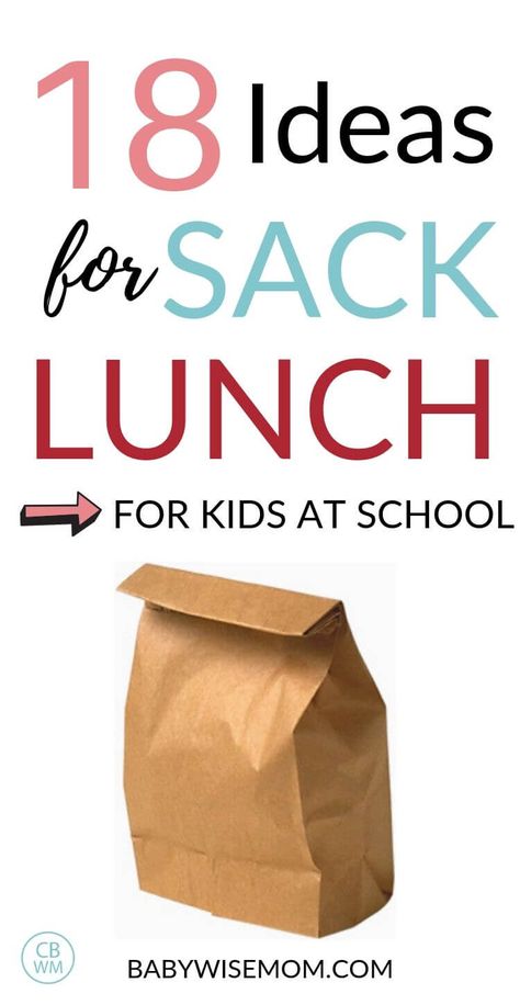 Healthy Sack Lunch Ideas For Adults, School Sack Lunch Ideas, Sack Dinner Ideas, Kids Sack Lunch Ideas, Healthy Sack Lunch Ideas, Field Trip Sack Lunch Ideas, Brown Bag Lunch Ideas For Adults, School Lunch Ideas For Teachers, School Field Trip Lunch Ideas