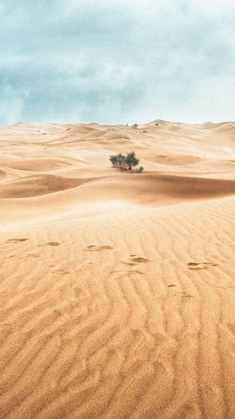 Desert Dune Sand Landscape background Desert Background Wallpapers, Desert Apocalypse, Desert Pics, Desert Images, Desert Photos, Desert Wallpaper, Sand Background, Sand Landscape, Desert Background