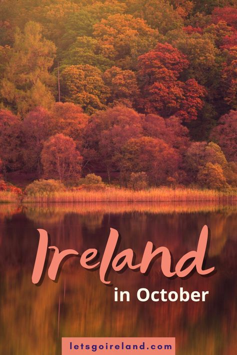 Ireland In October, Ireland Road Trip, Ireland Travel Guide, United Kingdom Travel, Ireland Vacation, Visit Ireland, Emerald Isle, Europe Travel Guide, Fall Travel