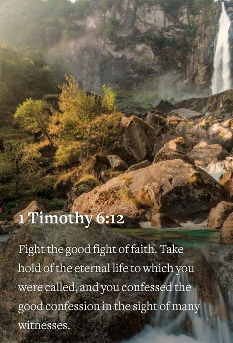 1 Timothy 6 12, 1 Timothy 6, Bible Verses Kjv, 1 Timothy, Bible Scripture, Bible Prayers, Gods Grace, Eternal Life, Bible Scriptures