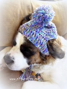 Free Crochet Pattern ~A Silly Hat For My Silly Dog  http://www.niftynnifer.com/2015/01/free-crochet-pattern-silly-hat-for-my.html #Crochet #Hat #Dog Crochet Dog Hat Free Pattern, Crochet Dog Hat, Kat Haken, Crochet Dog Clothes, Dog Sweater Crochet Pattern, Silly Hats, Crochet Dog Patterns, Crochet Dog Sweater, Dog Hat