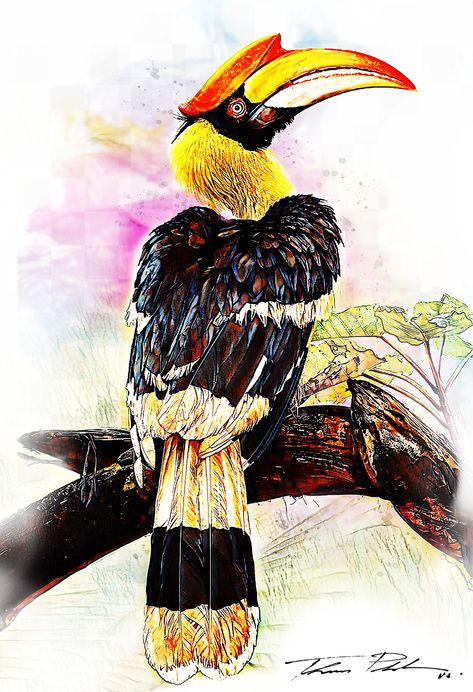 Neo Art Mixed Media Watercolor Art 10-09-2020 Great Indian Hornbill Great Indian Hornbill, Hornbill Drawing, Great Hornbill, Bird Pencil Drawing, Mixed Media Watercolor, Little Krishna, Art Mixed Media, Phone Wallpaper Design, Bird Drawings