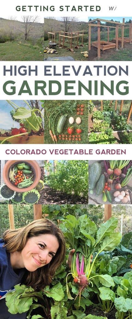 Colorado Vegetable Garden | High Elevation Gardening - What we did. Colorado Gardening, Gemüseanbau In Kübeln, Plants Tips, Indoor Vegetables, Vegetable Garden Tips, Garden Layout Vegetable, Container Vegetables, Indoor Vegetable Gardening, Organic Vegetable Garden