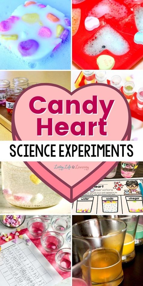 Candy Heart Science Experiments Preschool Nutrition, Valentine Science Experiments, Valentine Stem Activities, Valentine Stem, Preschool Steam, Valentine's Activities, Candy Science, Moon Room, Science Valentines