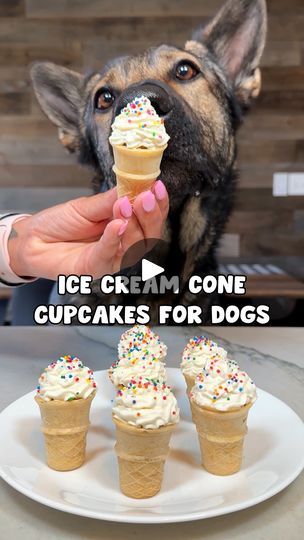 Dog Icing Recipe, Cupcakes For Dogs, Cupcakes For Dogs Recipe, Dog Ice Cream Recipe, Recipe Ice Cream, Puppy Ice Cream, Cone Cupcakes, Ice Cream Cone Cupcakes, Cannoli Recipe