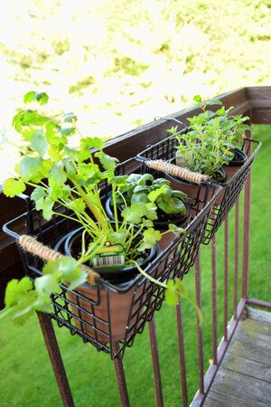 DIY patio or balcony railing herb garden, part of my apartment patio makeover. Apartment Herb Gardens, Balcony Railing Planters, Balcony Herb Gardens, Patio Herb Garden, Apartment Balcony Garden, Diy Balcony, Balcony Planters, Hanging Herbs, Small Balcony Garden