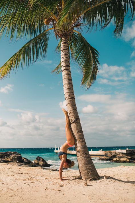 Beach yoga on a palm tree in Cozumel, Mexico 🌴🙃 Yoga Poses On Beach, Yoga Beach Poses, Beach Yoga Poses, Florida Palm Trees, Yoga Aesthetic, Disney Pics, Summer Picture Poses, Summer Things, Cozumel Mexico