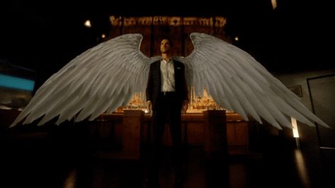 via GIPHY Lucifer With Wings, Lucifer Morningstar Wings, Minato Y Kushina, Lucifer Wings, Lucifer Gif, Chloe Decker, The Fallen Angel, Tom Ellis Lucifer, Lauren German