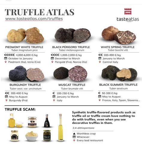 Growing Truffles, Growing Mushrooms At Home, Truffle Mushroom, Summer Truffle, Culinary Cooking, Luxury Food, Truffle Oil, Truffle Recipe, White Truffle