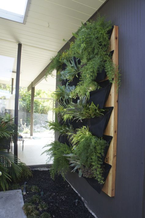 DIY living wall via @Karolina Büchner Plant Wall Decor Outdoor, Ikea Living Wall, How To Make A Living Wall Outdoors, Diy Green Wall Outdoors, Living Wall Outdoor Diy, Outdoor Living Wall Diy Vertical Gardens, Diy Living Wall Outdoor, Living Plant Wall Indoors, Living Wall Outdoor