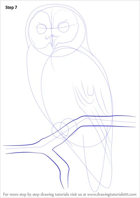 Learn How to Draw a Tawny Owl (Owls) Step by Step : Drawing Tutorials Owl Drawing Easy, Owl Drawing Simple, Owl Sketch, Owl Drawing, Tawny Owl, Owls Drawing, Owl Crafts, Drawing Simple, Learn Drawing