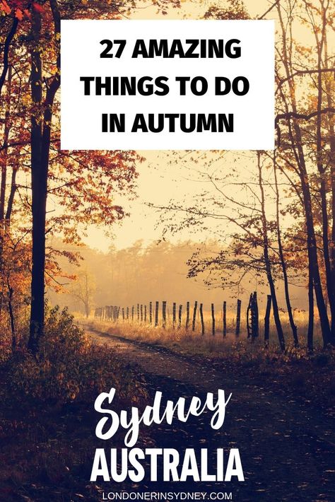 27 Things To Do In Autumn In Sydney This 2020 | #sydney #australia #autumninsydney #sydneymardigras #vividfestivalsydney #anzacday Autumn In Sydney, Sydney Autumn, Autumn In Australia, Travelling Places, Easter Show, Visit Sydney, Wales Travel, Best Rooftop Bars, Hidden Beach