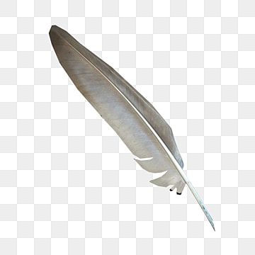 Feather Png, Wings Clipart, Birds Png, Birds Wings, Grey Bird, Pair Of Birds, Wing Feathers, Hawk Bird, Wings Png