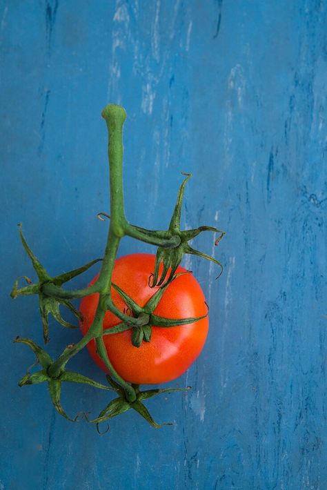 Tomato on the Vine – License Images – 12606414 ❘ StockFood Tomato On The Vine, Tomatoes On The Vine, Vine Tomatoes, Food Images, High Quality Food, Tomatoes, Vines, Royalty, Royalty Free