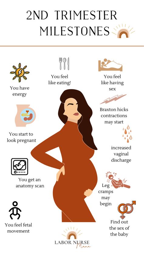 ah....second trimester. Most often then not, the second trimester is the best part of pregnancy. ⁠⁠ ⁠⁠ ⁠⁠ Pregnancy Facts, Pregnancy Help, Healthy Pregnancy Tips, Labor Nurse, Pregnancy Info, Newborn Mom, Pregnancy Labor, Newborn Baby Tips, Pregnancy Guide