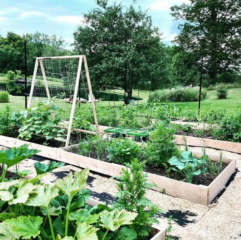 Made to order handcrafted Raised Garden Beds. Quality at an affordable price. Designed for easy assembly and to last a long time.Made from moisture,rot and Insect Resistant WESTERN RED CEDAR and assembled with STAINLESS Steel Screws.Assembly takes just a few minutes .EASY ASSEMBLY!! Environmentally Friendly -- No harmful chemicals .Made in USA. Grow your own organic vegetables and herbs. Grow some flowers too . Gardening is Americas favorite hobby and is a great relaxing way to get a little work Sitting Area Design, Cedar Garden, Garden Tattoo, Vegetable Bed, Beachy Room, Outdoor Sitting Area, Vegetable Garden Design, Design Garden, Flowers Wallpaper