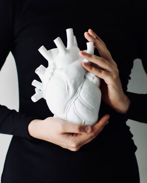 Anatomical heart vase hands Hand Holding Something, Woman In Black Dress, Hands Holding Heart, Skull Reference, Heart Vase, Hand Drawing Reference, Woman In Black, Heart Photography, Hand Reference